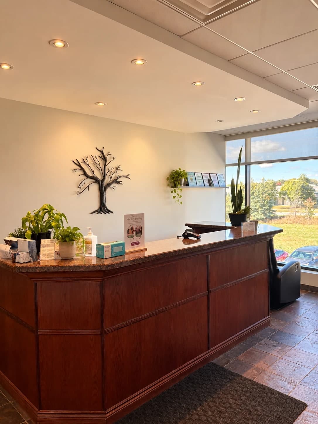 Reception desk with dark wood cabinetry, potted plants, and decorative tree wall art, large windows overlooking a green landscape and parking area